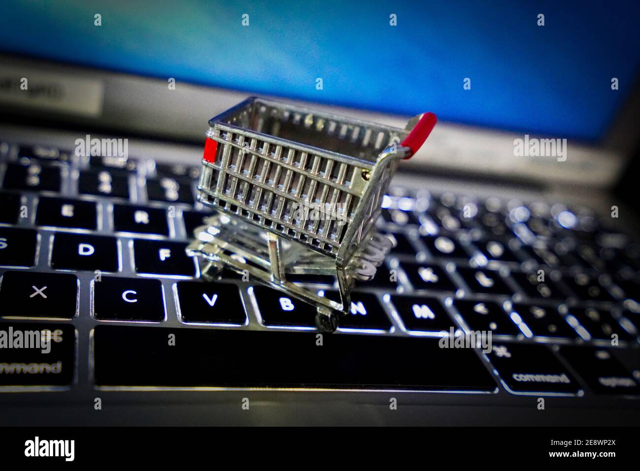 Montreal,Quebec,Canada,Gennaio 10,2021.Concept di shopping online su internet. Montreal,Quebec,Canada.Credit: Mario Beauregard/Alamy News Foto Stock