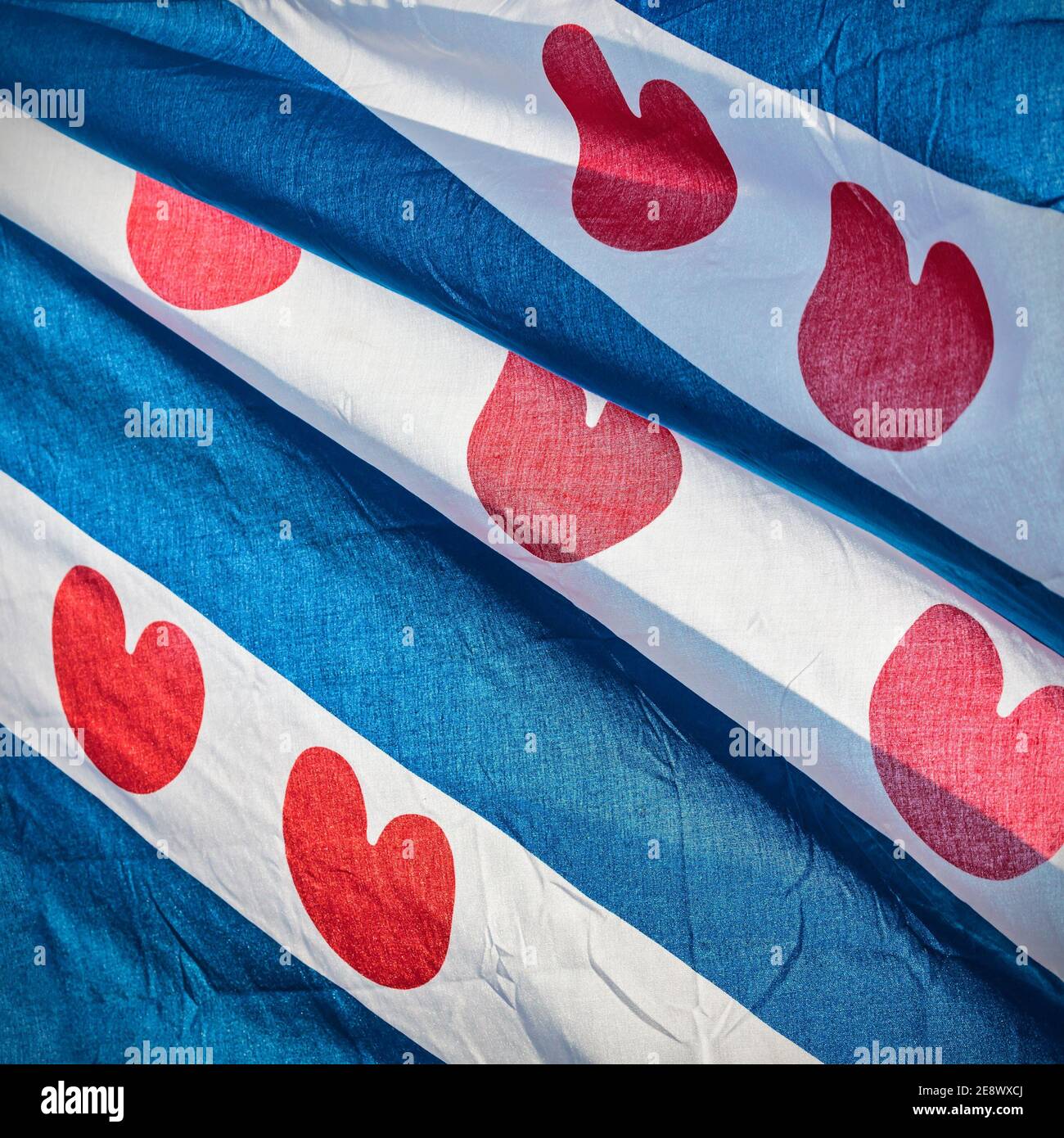 Bandiera Frisia Orientale Con Stemma Solo 9,95 € | SVB - Foto 10