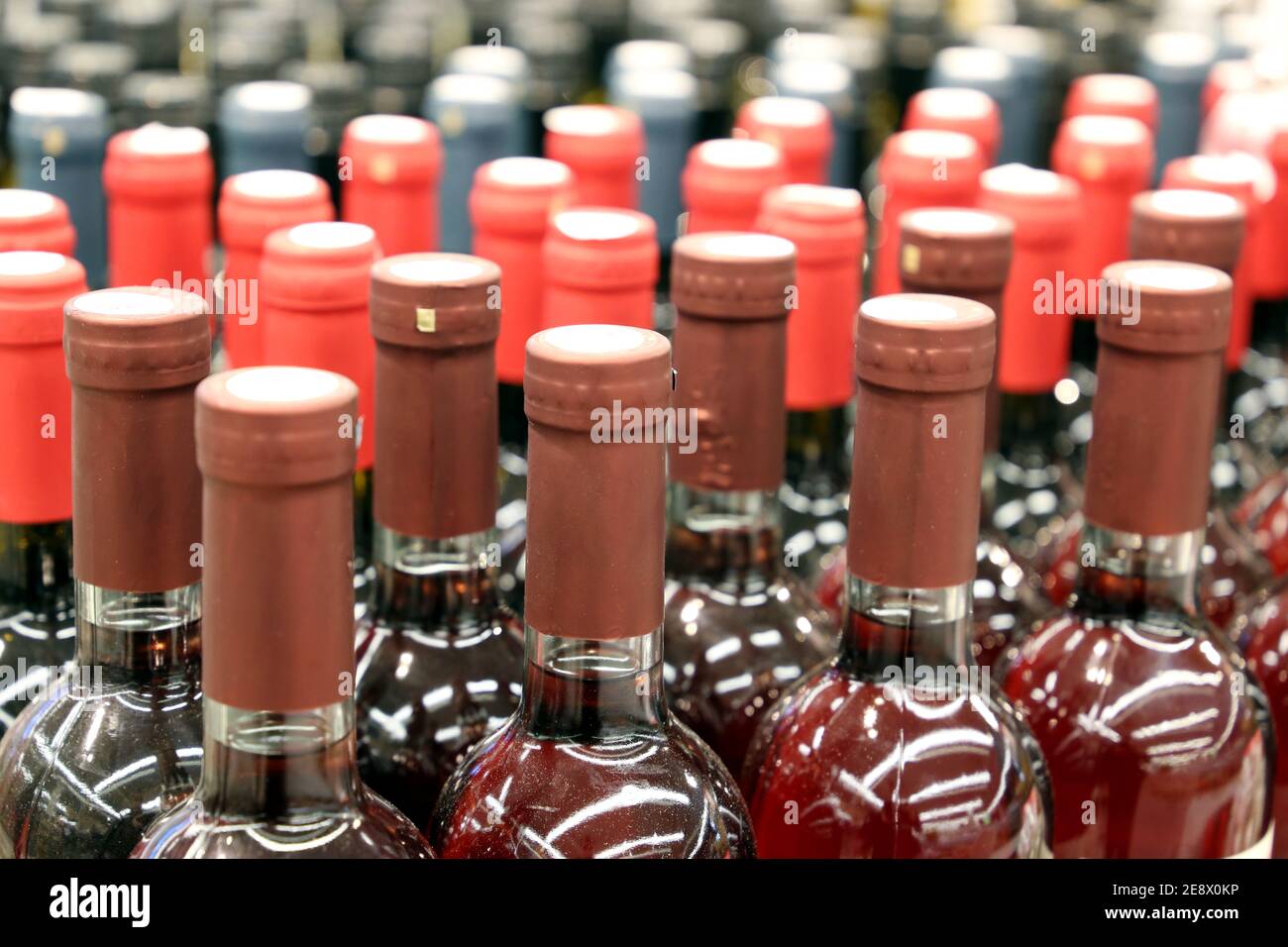 Bottiglie di vino in fila, fuoco selettivo. Negozio di liquori, produzione vino rosso e rosa Foto Stock