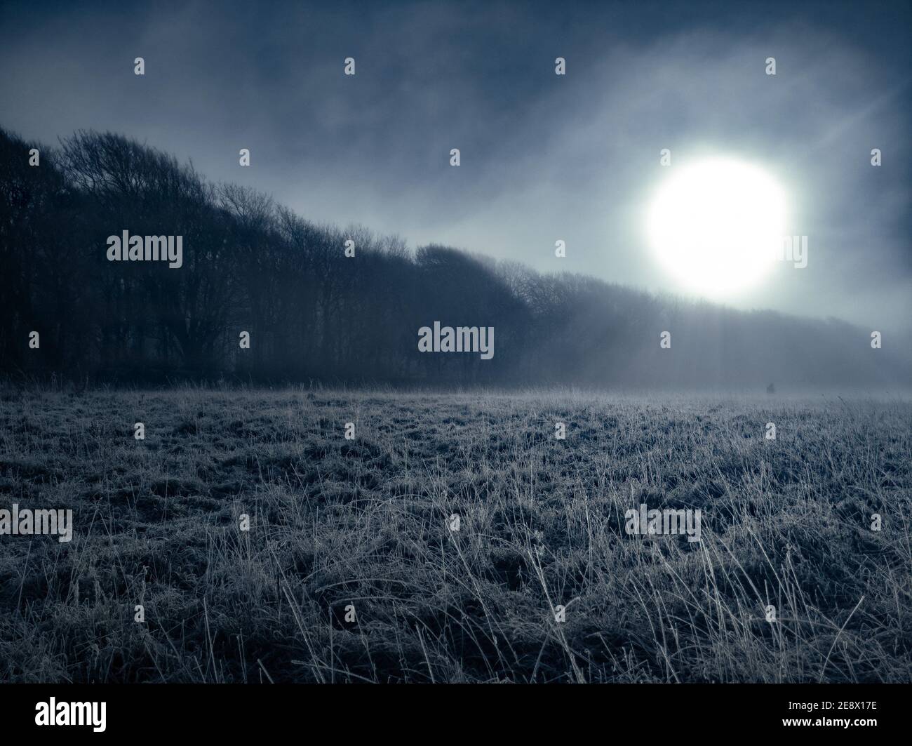 Mattina presto Wintery Mist e Frost. Una vista di Ditchling Beacon nel South Downs a Dawn. Stanmer Great Wood National Park, East Sussex, Inghilterra Regno Unito Foto Stock