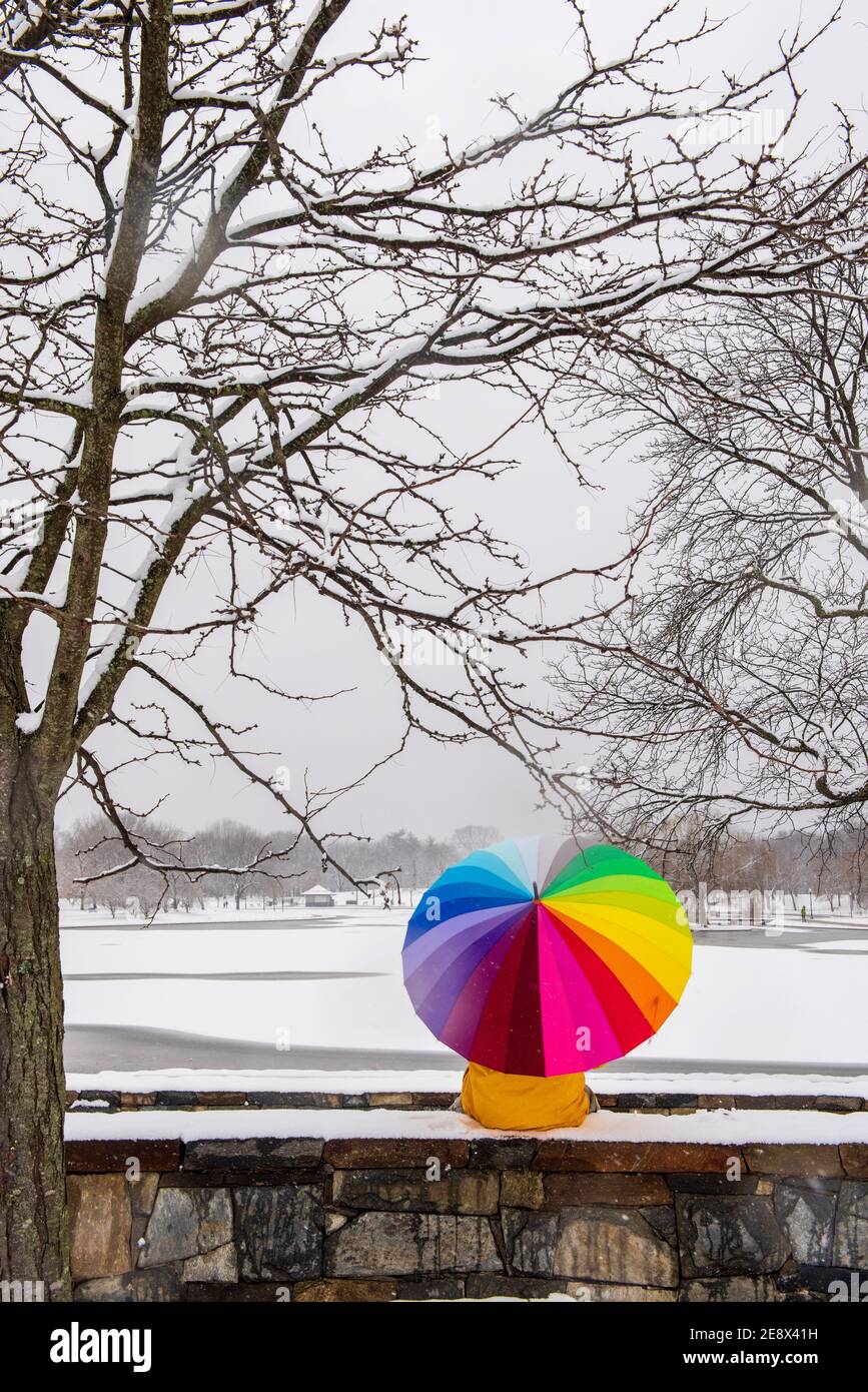 Un uomo che porta un ombrello colorato visita Constitution Gardens durante una giornata innevata a Washington, D.C. Foto Stock