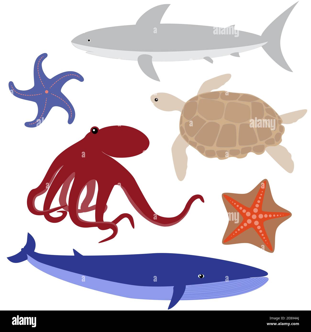 Set 4 di vita marina: Polpo, squalo, balena, tartaruga, stella marina Illustrazione Vettoriale