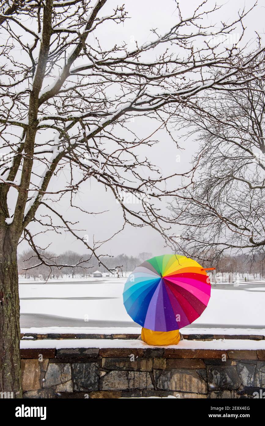 Un uomo che porta un ombrello colorato visita Constitution Gardens durante una giornata innevata a Washington, D.C. Foto Stock