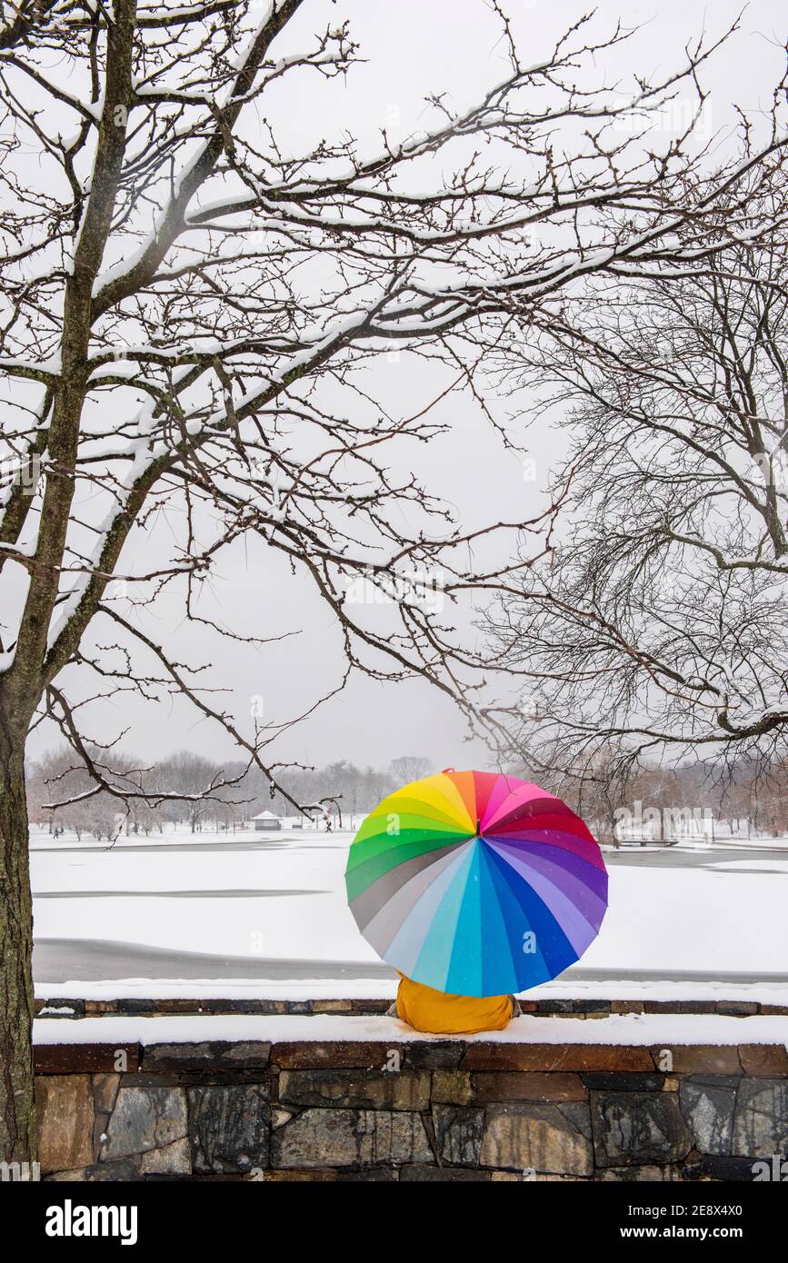 Un uomo che porta un ombrello colorato visita Constitution Gardens durante una giornata innevata a Washington, D.C. Foto Stock