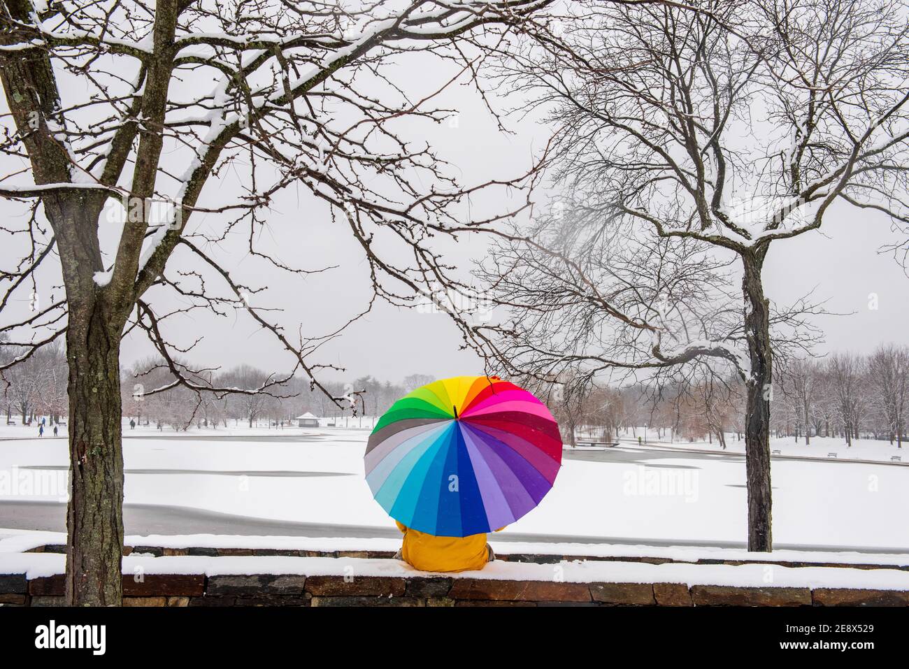 Un uomo che porta un ombrello colorato visita Constitution Gardens durante una giornata innevata a Washington, D.C. Foto Stock