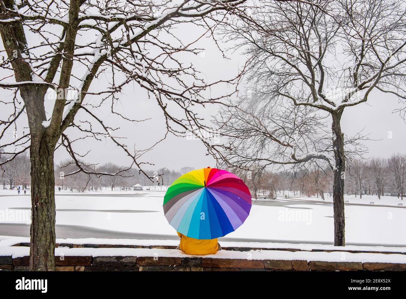 Un uomo che porta un ombrello colorato visita Constitution Gardens durante una giornata innevata a Washington, D.C. Foto Stock