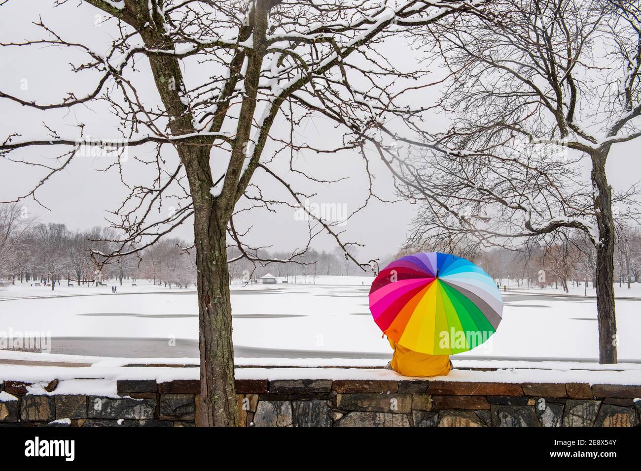 Un uomo che porta un ombrello colorato visita Constitution Gardens durante una giornata innevata a Washington, D.C. Foto Stock