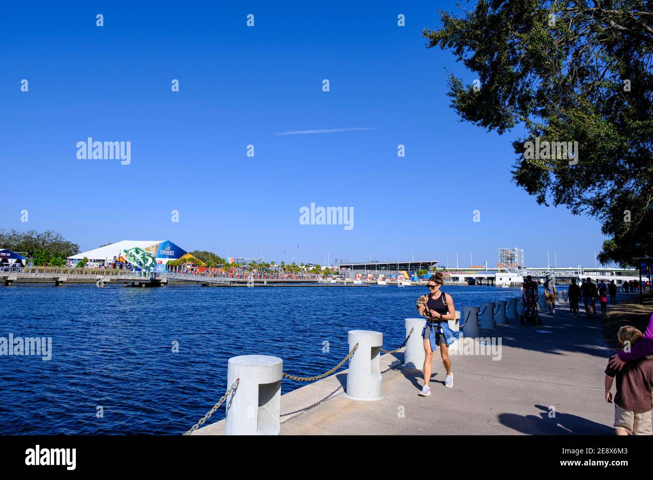 Donna che tiene il cane piccolo mentre cammina lungo Tampa Riverwalk - Super Bowl LV (55) Tampa, Florida Foto Stock