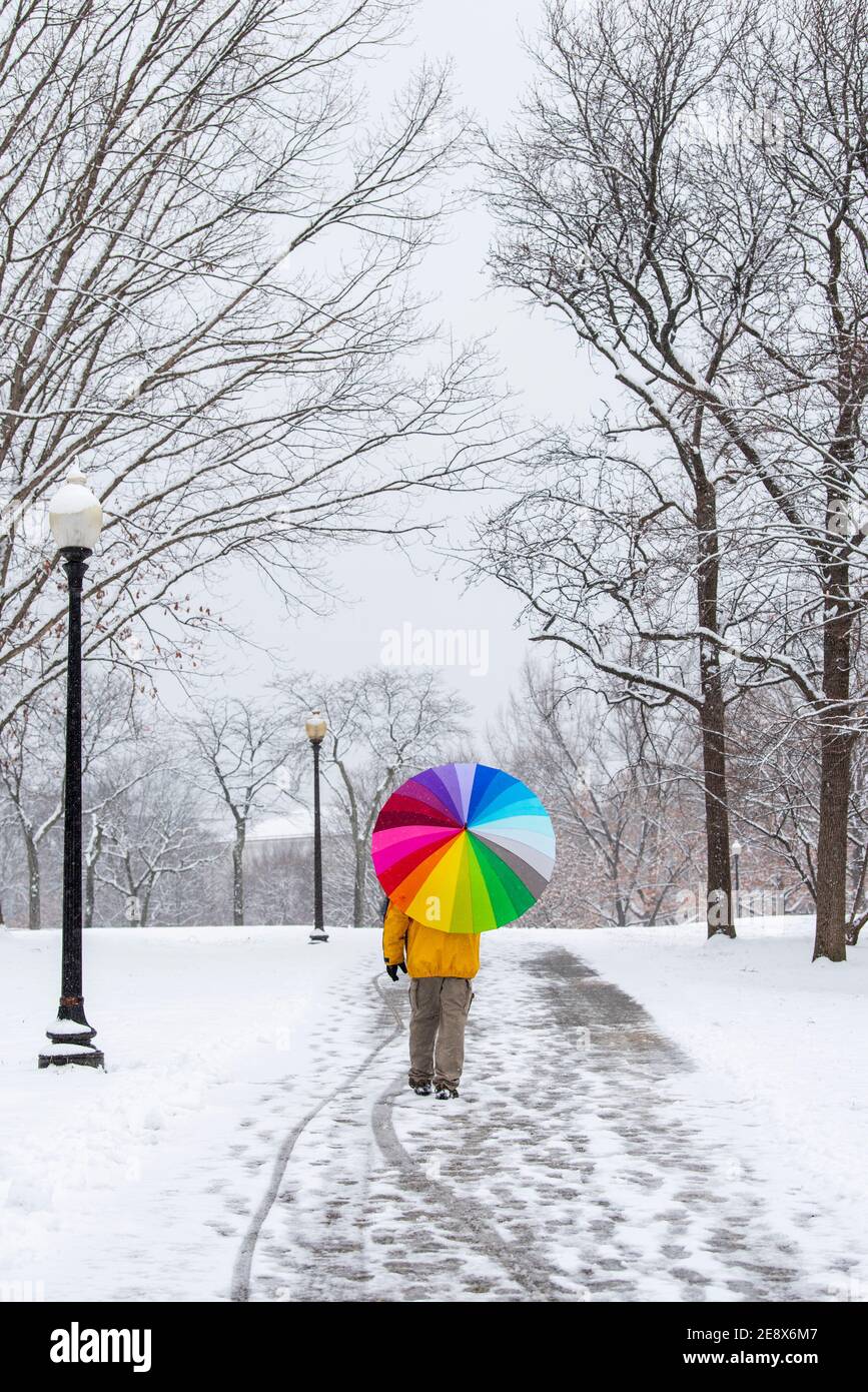 Un uomo che porta un ombrello colorato visita Constitution Gardens durante una giornata innevata a Washington, D.C. Foto Stock