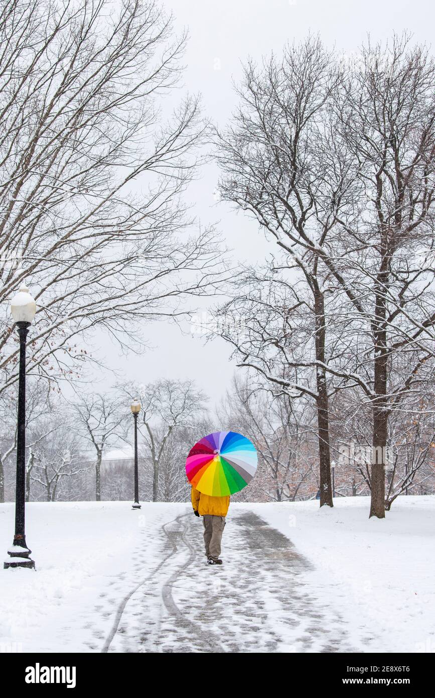 Un uomo che porta un ombrello colorato visita Constitution Gardens durante una giornata innevata a Washington, D.C. Foto Stock