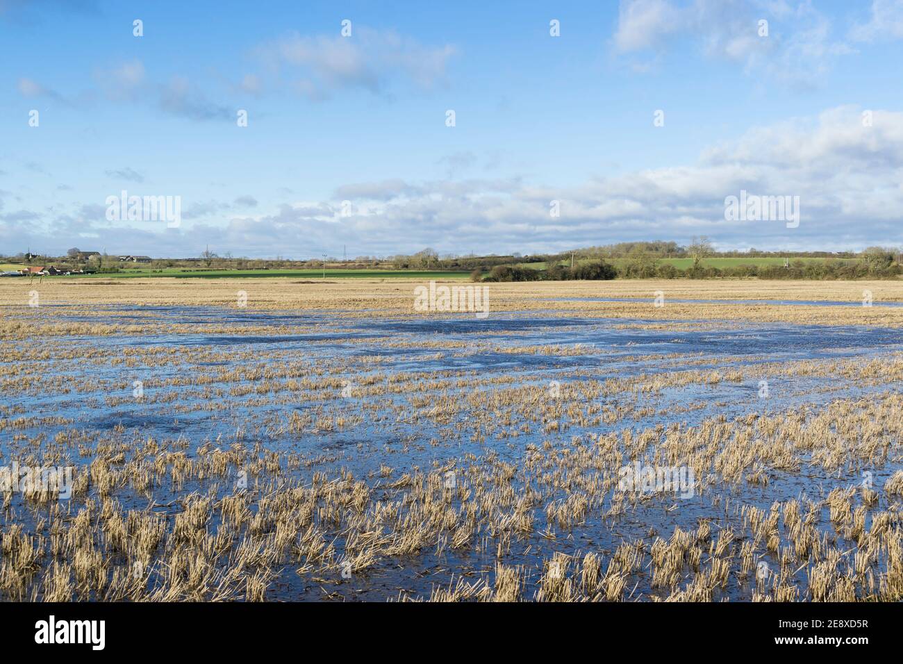 Campo allagato dopo pioggia tempesta Cherry Willingham Lincoln 2021 gennaio Foto Stock