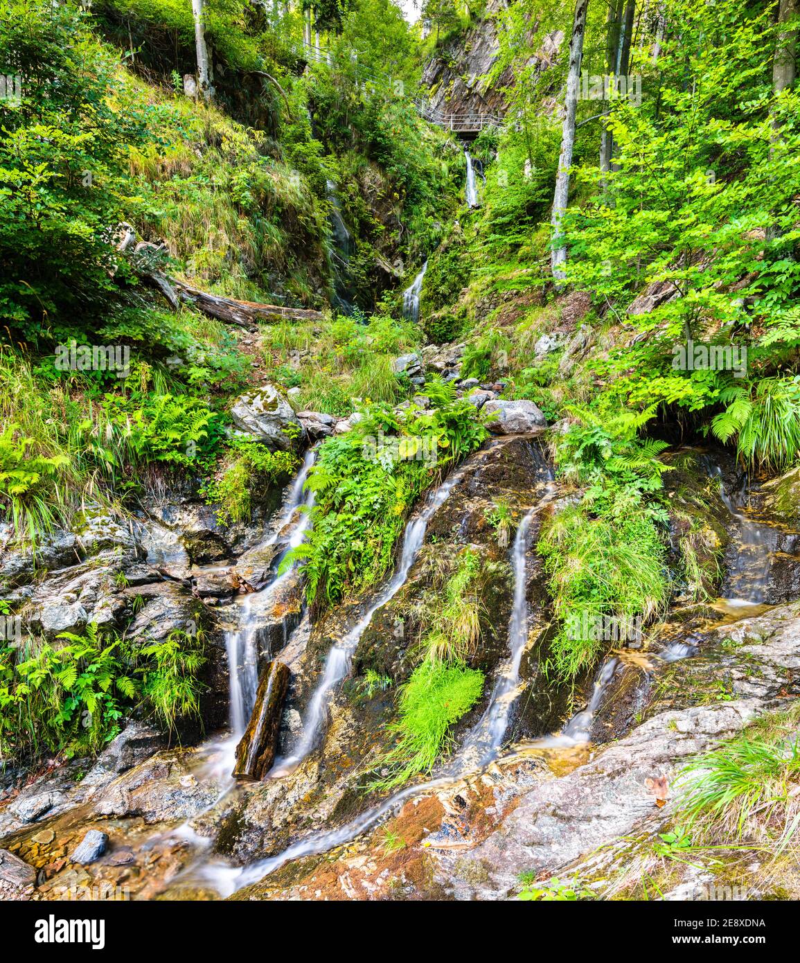 Cascata di Fahler nella Foresta Nera, Germania Foto Stock