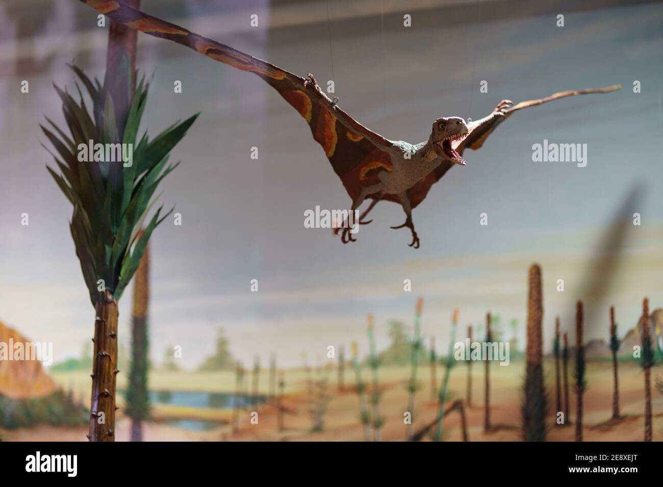 Pterodactil preistorico volo rettile foto Foto Stock