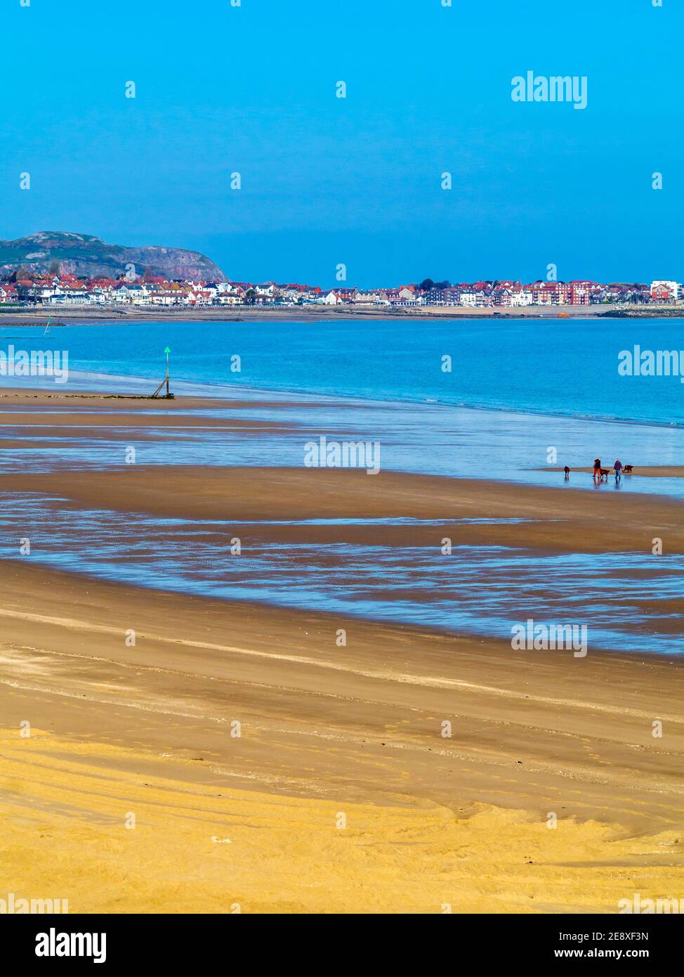 Vista sulla spiaggia di sabbia a bassa marea a Colwyn Bay una popolare località balneare a Conwy North Wales UK Foto Stock
