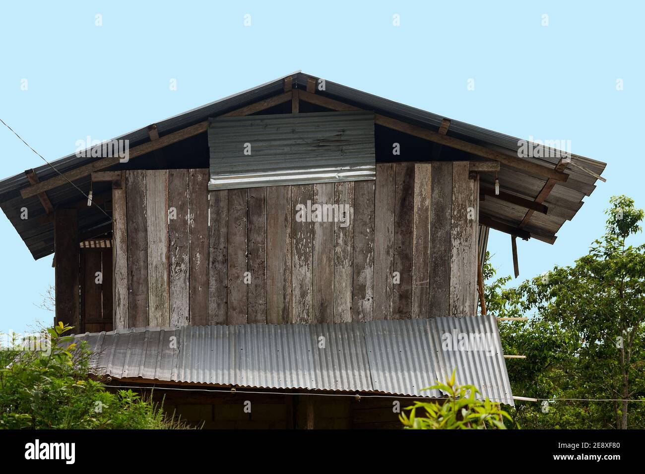 Casa nativa, tavole di legno, rialzato, tetti di stagno corrugato, rustico,  tra vegetazione verde, Sud America, Amazon Tropical Rainforest, Ecuador  Foto stock - Alamy