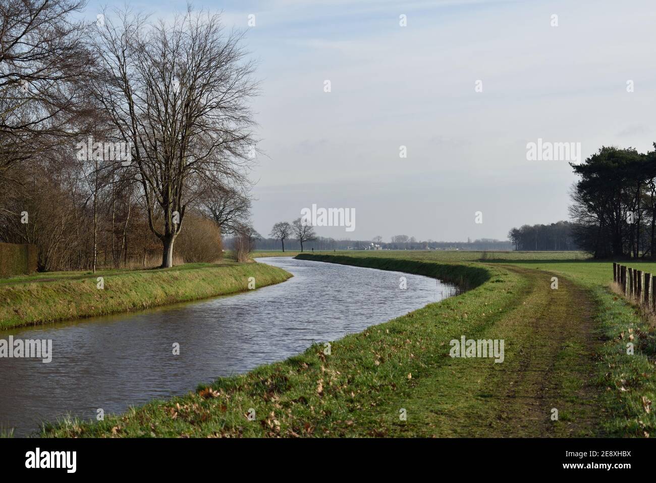 Tranquillo canale nella campagna olandese con alberi sul riva del fiume Foto Stock