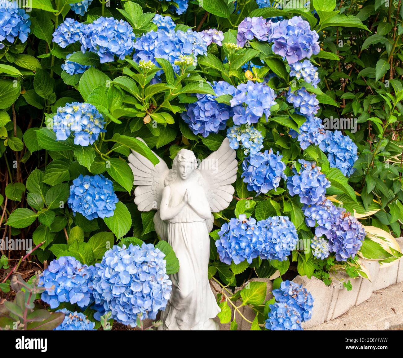 La statua angelica offre pace e serenità Foto Stock