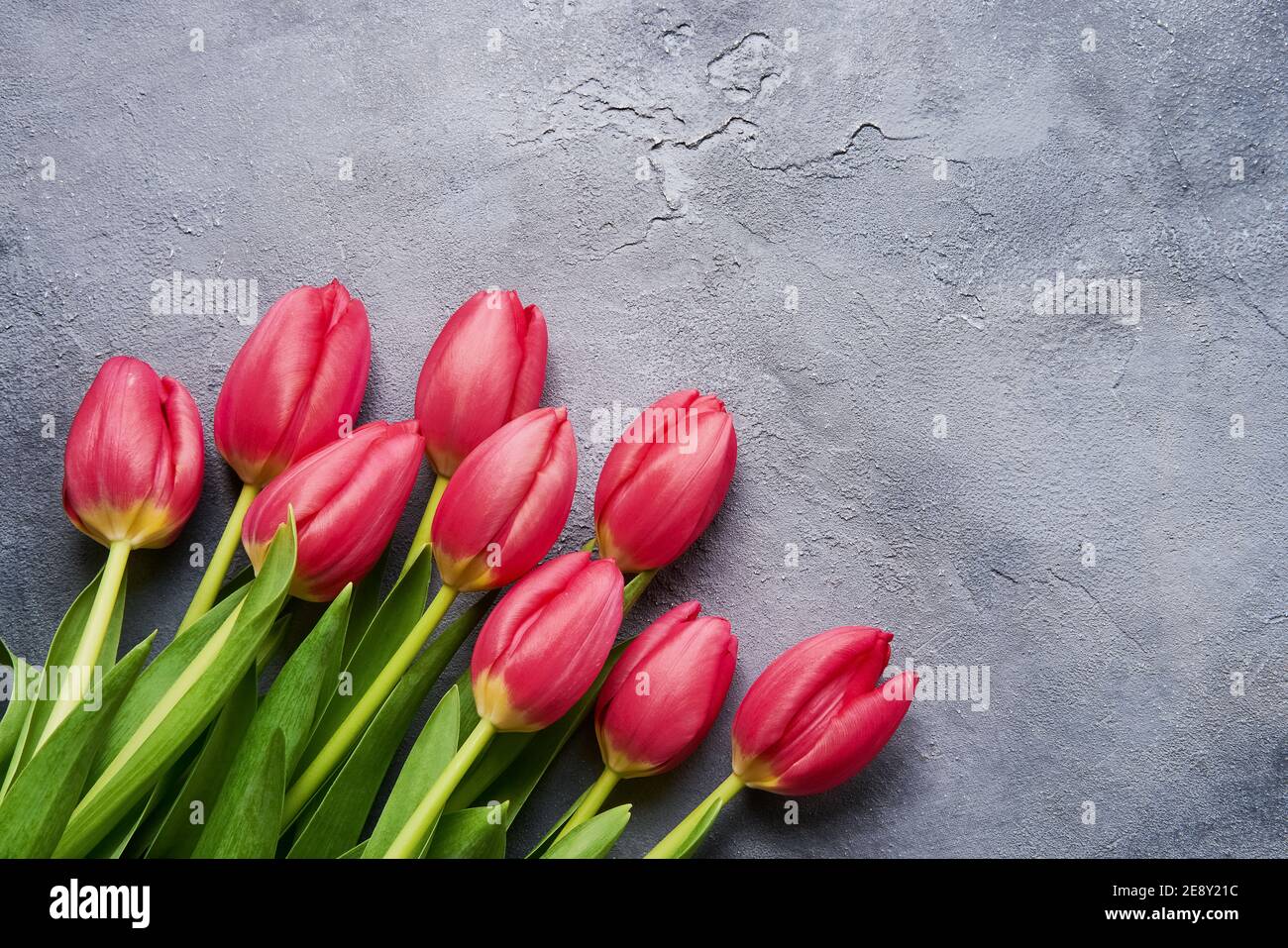 Bouquet di tulipani rossi su fondo grigio di cemento. Vista dall'alto, spazio di copia per il testo Foto Stock