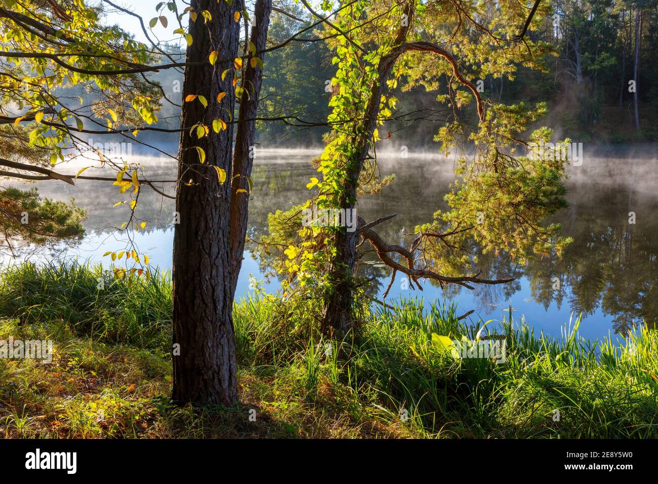 Autunno al lago Masuriano, Polonia Foto Stock