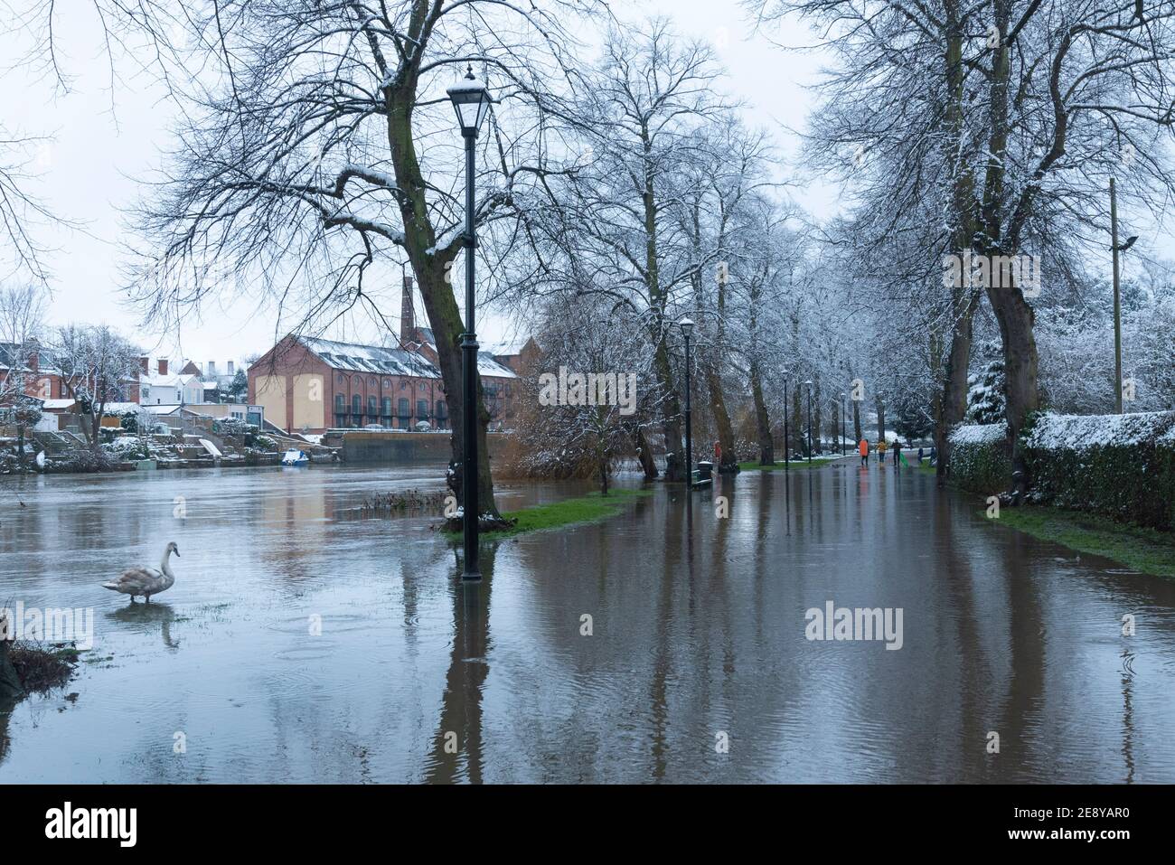 Fiume sommerso Severn e neve, Shrewsbury, Shropshire, domenica 24 gennaio 2021. Normalmente, la domenica, questo percorso si surriscalderebbe con gli escursionisti di giorno e la gente del posto che si esercitava. Tuttavia, la combinazione di Lockdown e il fiume Severn in piena ha impedito alla maggior parte delle persone di utilizzare l'intero tratto di questa strada mentre si snoda verso la cava, l'elegante e popolare parco di Shrewsbury. Tuttavia, in lontananza, una famiglia ha appena attraversato l'alluvione, portando con sé le slitte per divertirsi nel parco. Foto Stock