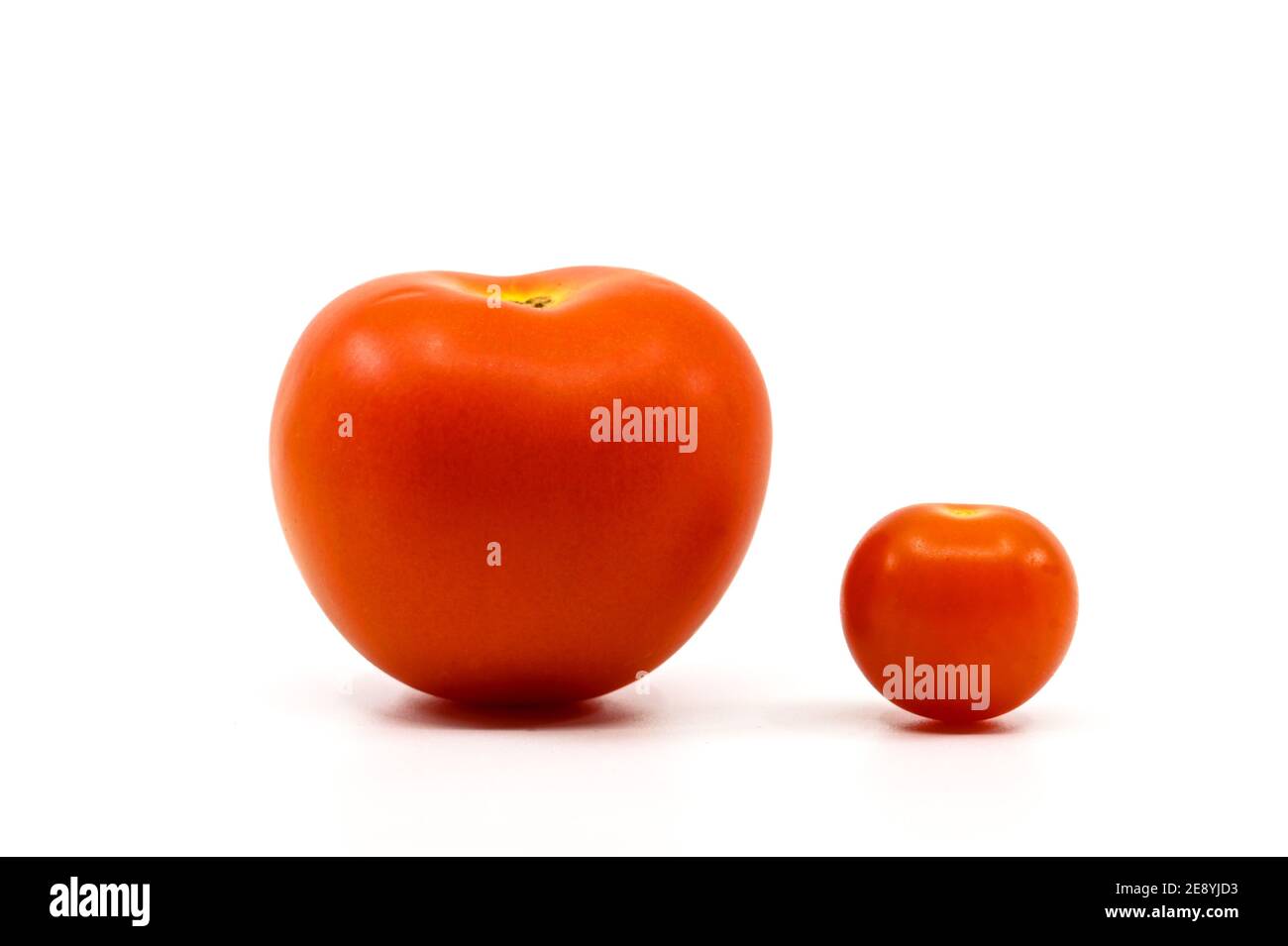 Pomodoro di ciliegia a lato con pomodoro grande. Confronta concetto. Spazio di copia. Nessuna gente. Foto Stock