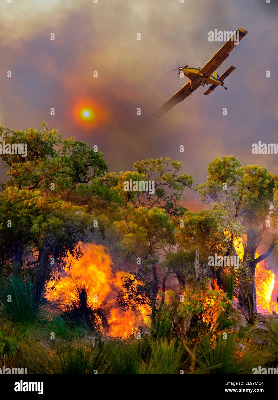 Un bombardiere ad acqua AT-802 Air Tractor scende in basso, attaccando un incendio di una cespuglio suburbano. Foto Stock