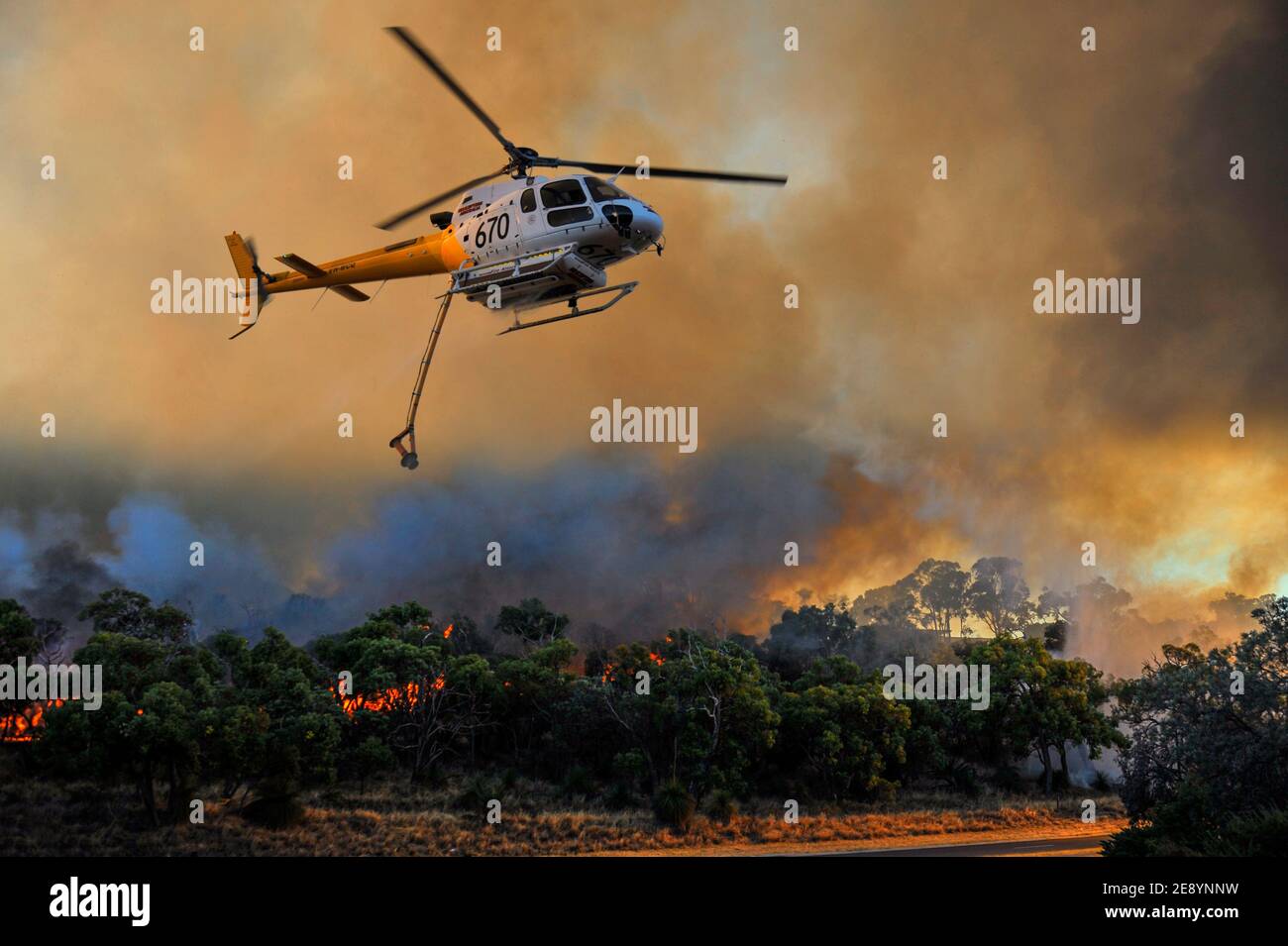 Un elicottero da snorkeling AS350 Squirrel equiped bombardiere d'acqua che attacca un fuoco suburbano. Foto Stock