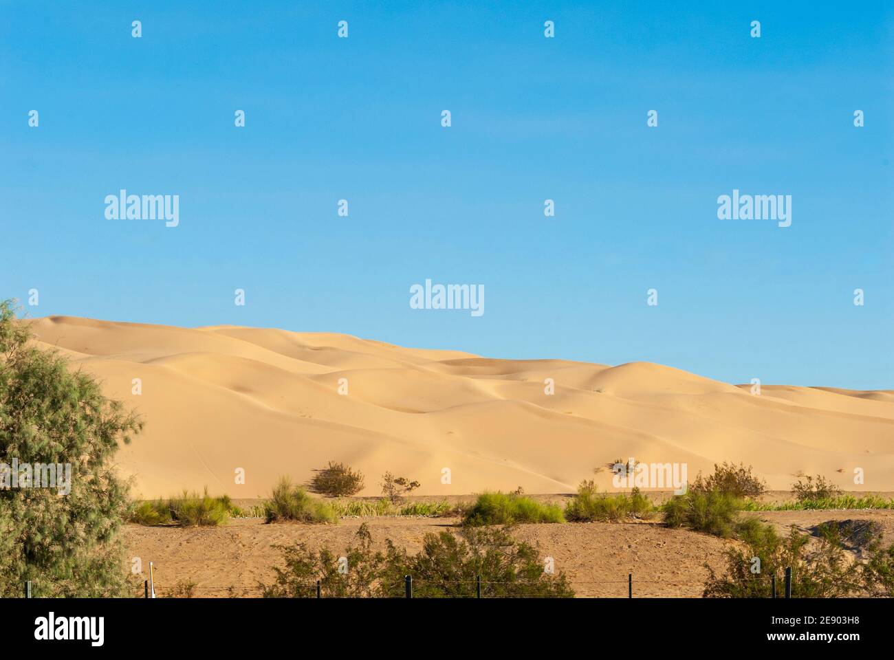 Dune di sabbia imperiali nel deserto dell'Arizona sud-occidentale, bacino di Salton, Stati Uniti. Foto Stock