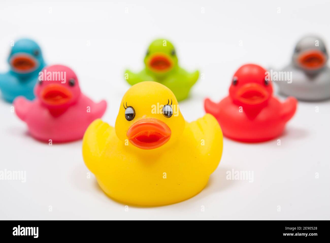 Anatra di gomma gialla davanti al team di anatre di gomma colorata isolato, leadership, concetto di lavoro di squadra Foto Stock