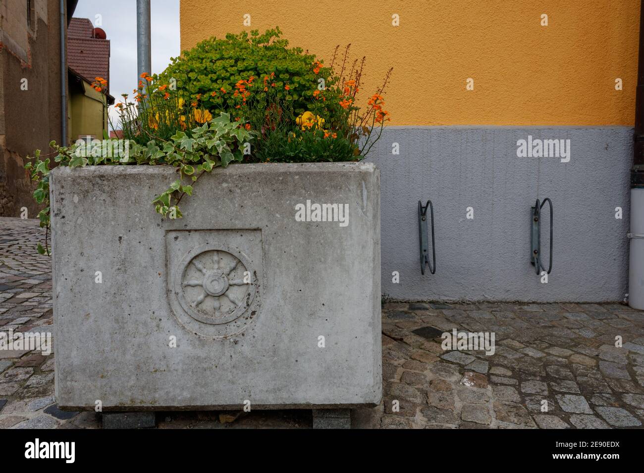 Secchio di piante con le braccia della città di Neudenau contro il giallo parete Foto Stock