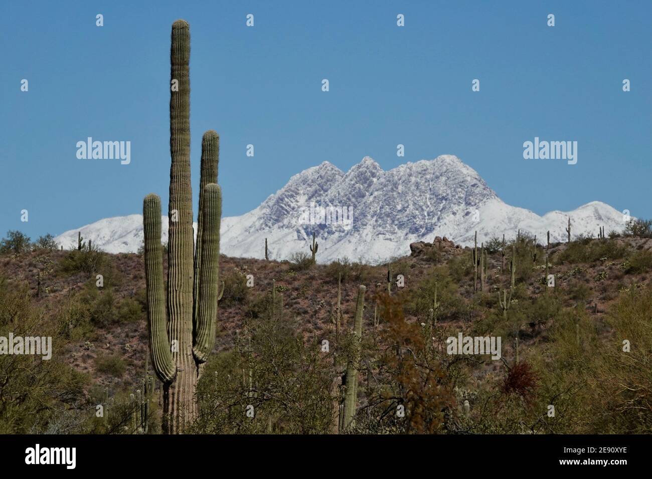 Una tempesta invernale copre le quattro montagne sulla neve nella natura selvaggia del deserto dell'Arizona fuori dalla città di Phoenix. Foto Stock