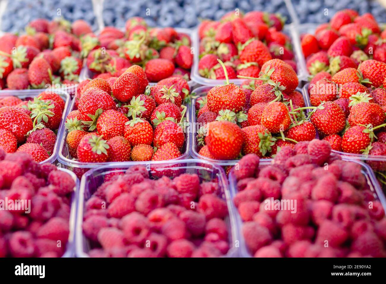 Fragole, lamponi, mirtilli in scatola di plastica trasparente per la vendita allo stand della drogheria sul mercato alimentare. Frutta estiva. Sano f Foto Stock