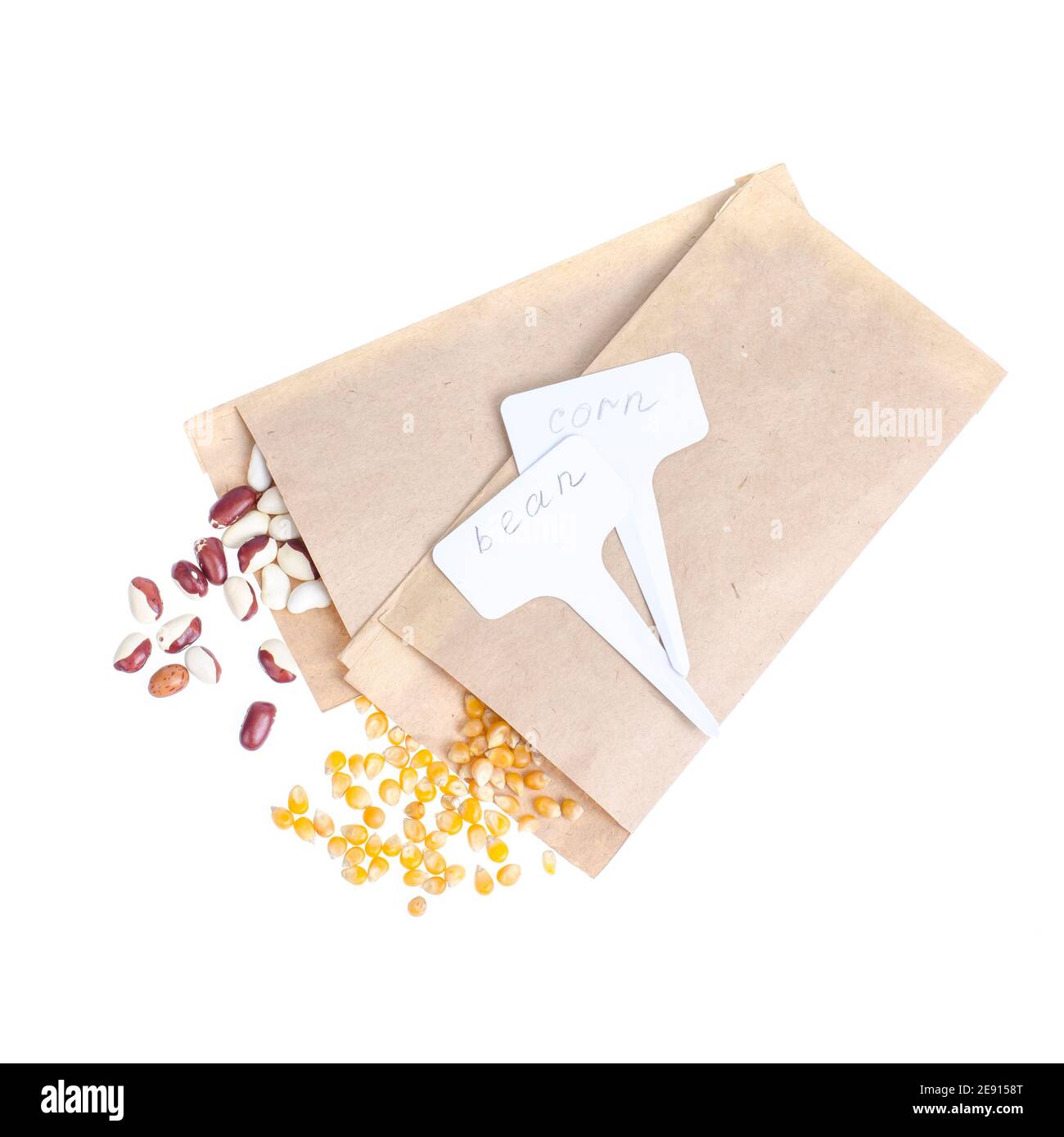 Preparazione e pianificazione primaverile per la semina di ortaggi. Semi vegetariani in buste di carta artigianali. Lavori stagionali in giardino. Studio foto Foto Stock