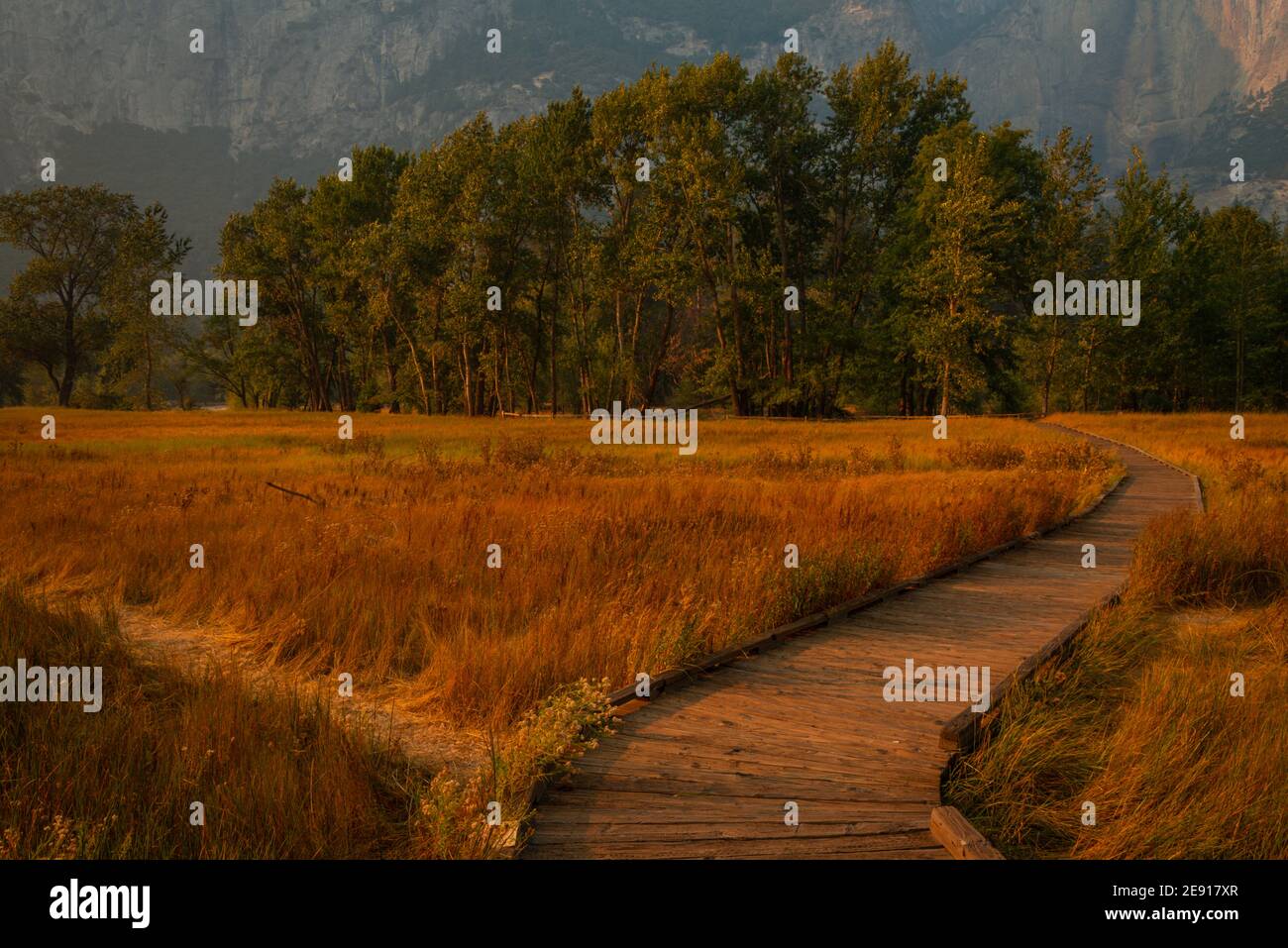 Meandri sentieri in legno che attraversano la Yosemite Valley Foto Stock