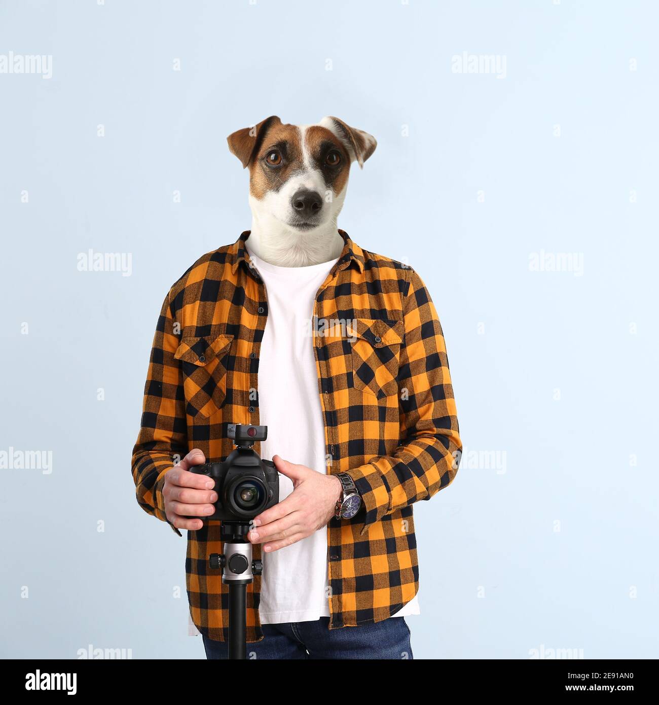 Fotografo con la testa del cane su sfondo di colore chiaro Foto Stock
