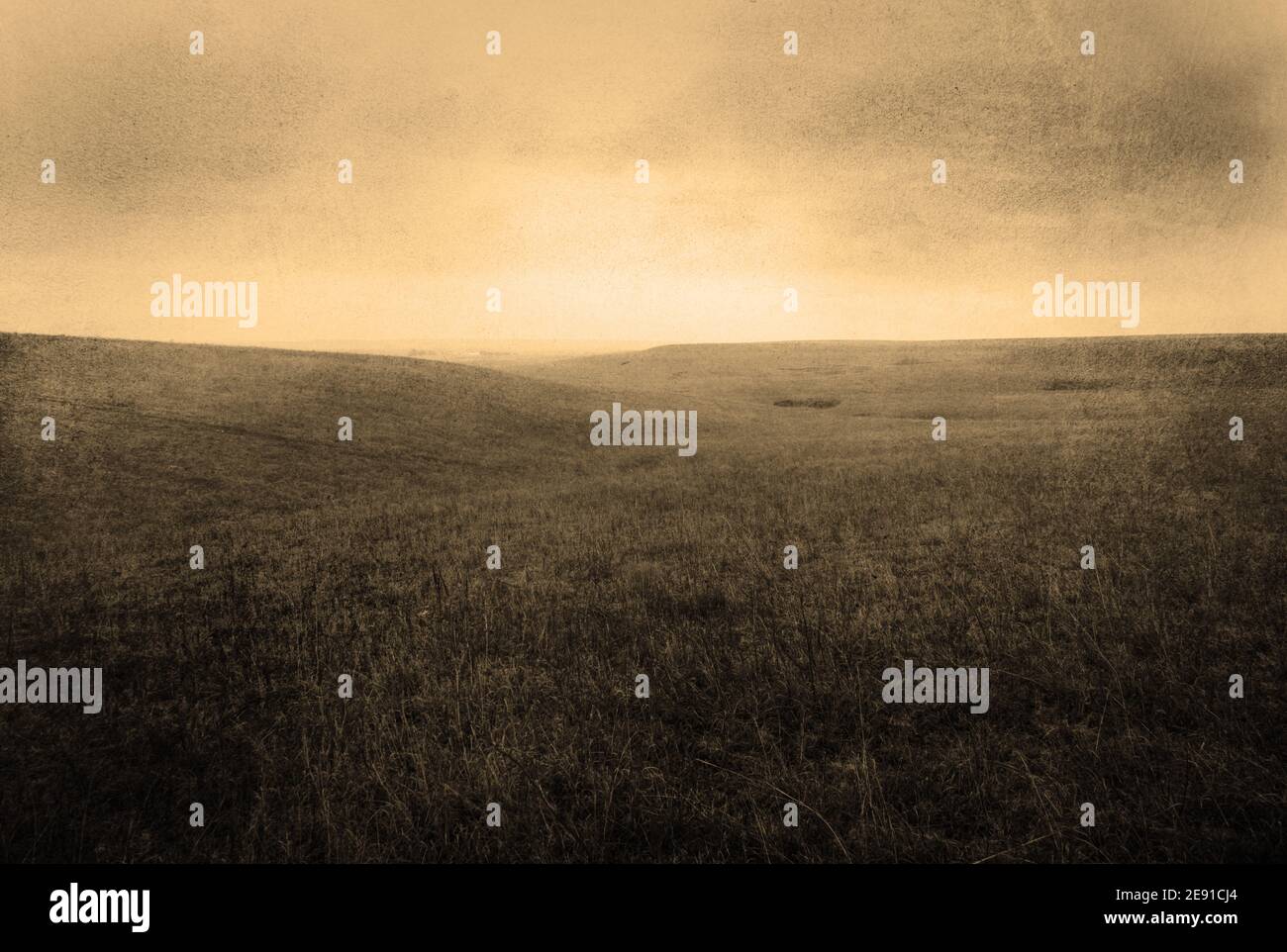 Fondo di prateria stilizzato Foggy con colline delicatamente ondulate, grana seppia grintosa e spazio vuoto Foto Stock