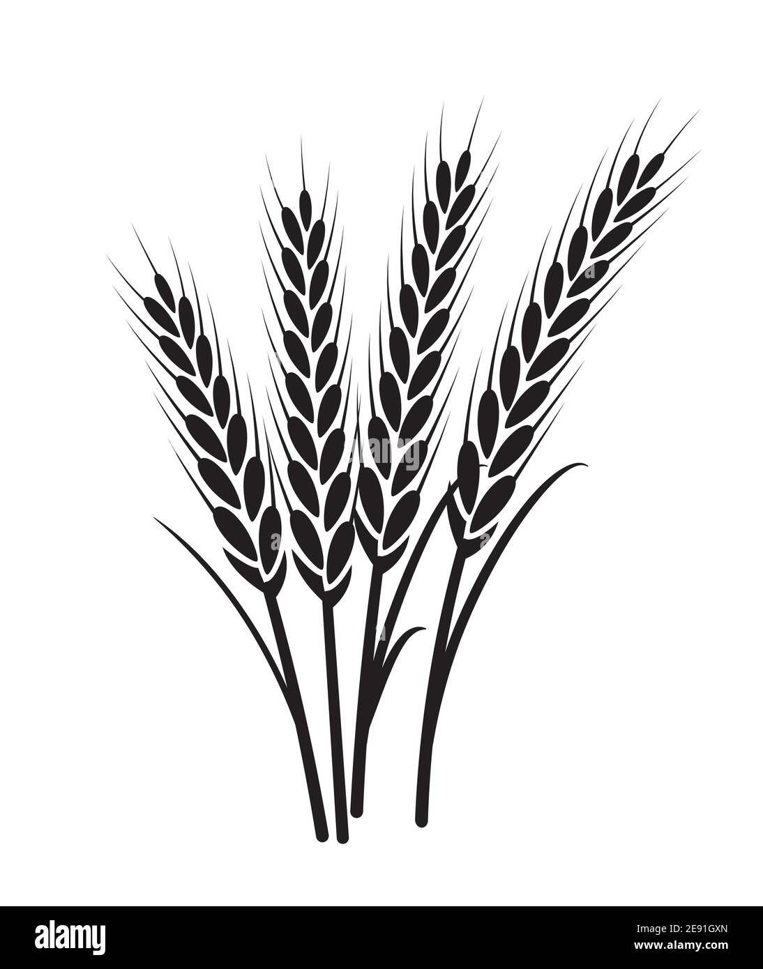 Illustrazione dell'icona della granella della pianta del vettore del grano. Grano campo raccolto disegno agricoltura. Illustrazione Vettoriale