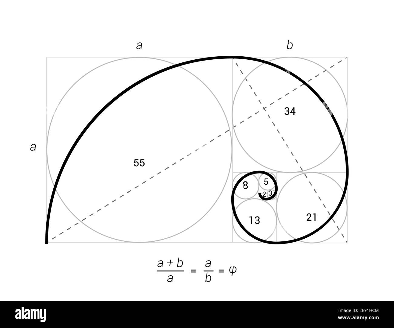 Sezione a spirale proporzionale vettoriale del rapporto d'oro. Geometria del rapporto d'oro di Fibonacci Illustrazione Vettoriale