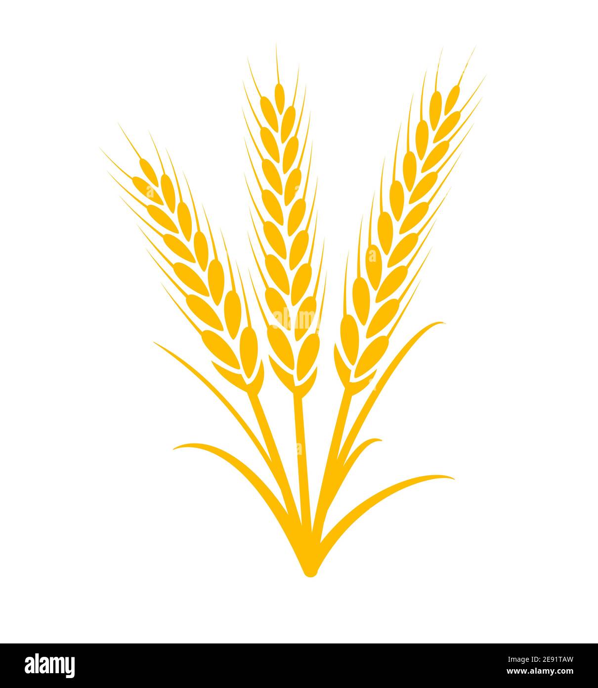 Illustrazione dell'icona della granella della pianta del vettore del grano. Grano campo raccolto disegno agricoltura Illustrazione Vettoriale