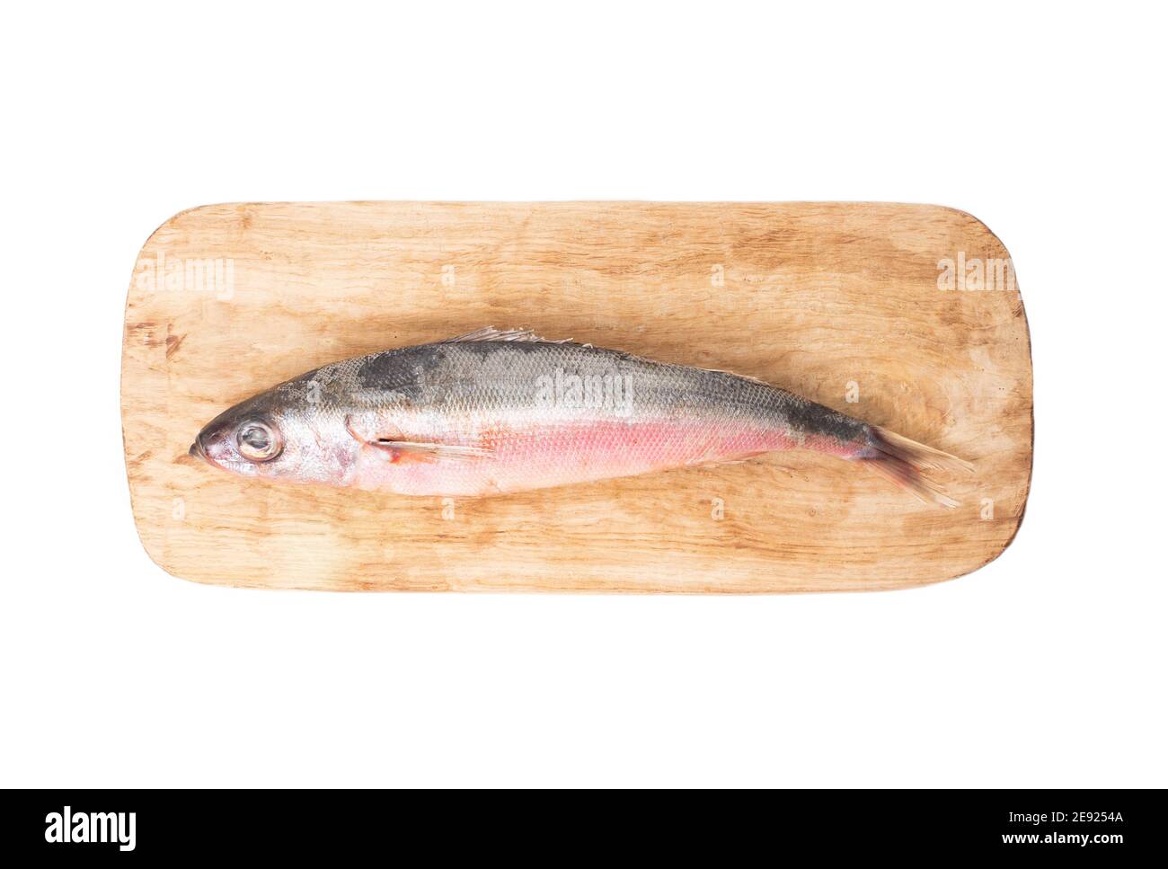 Pesce di mare rosso-eyed su una tavola di cucina di legno su uno sfondo bianco, isolare. Foto Stock