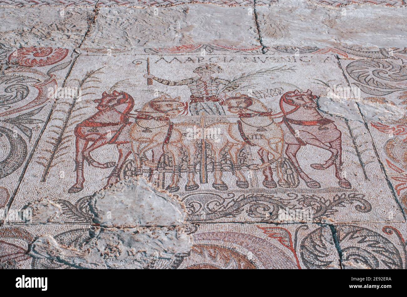 Rovine di una colonia romana Emerita Augusta a Merida, Badajoz, Spagna. Mosaico - carioteer Marcianus. Scansione di archivio da un vetrino. Ottobre 1979. Foto Stock