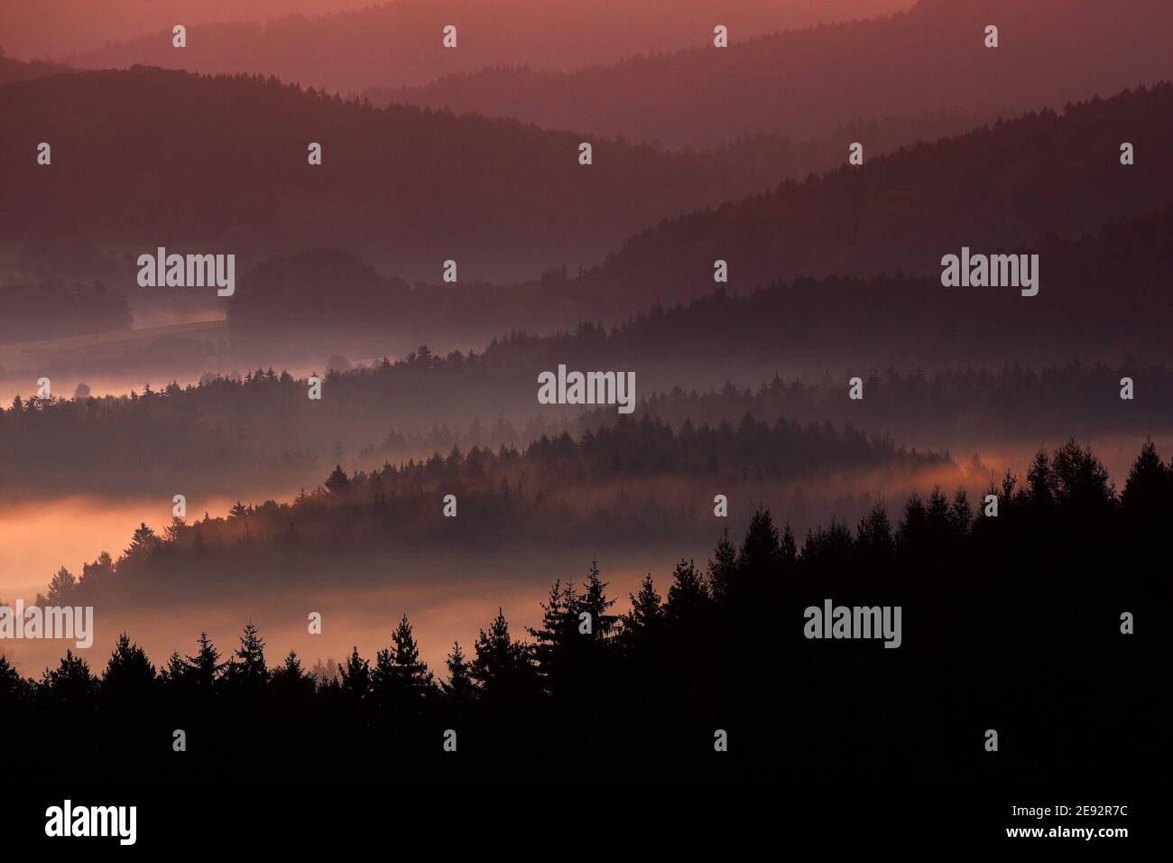 Misty rosso mattina paesaggio. Sole all'alba nel parco nazionale ceco Ceske Svycarsko. Bellissimo paesaggio con foresta e nebbia. Foto Stock