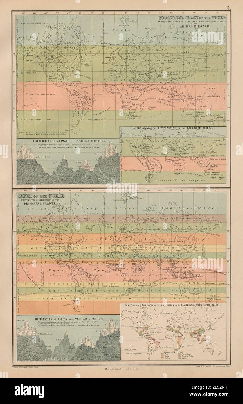 Carte zoologiche e botaniche del mondo. Piante animali. BARTOLOMEO 1870 mappa Foto Stock