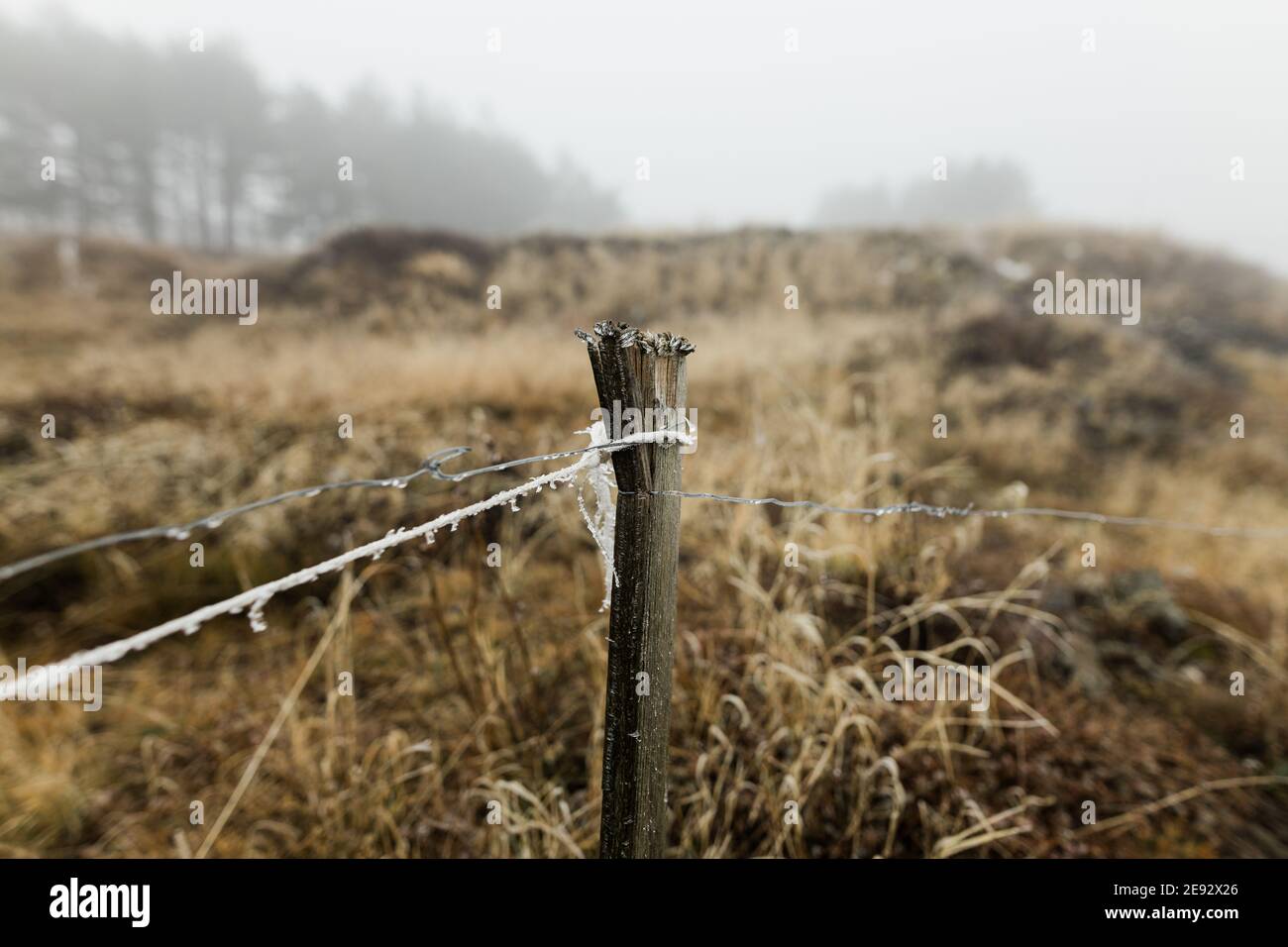 Primo piano di una recinzione di filo ghiacciato in inverno mattina Foto Stock