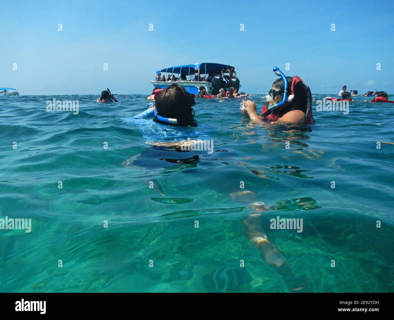 Snorkeling nella riserva naturale di Rosario, Mar dei Caraibi, Colombia Foto Stock