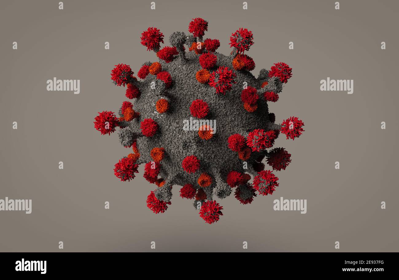 Come il coronavirus (SARS-COV-2) infetta le cellule umane Foto Stock