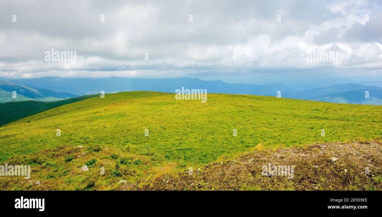 paesaggio montano in estate in una giornata nuvolosa. prato collinare coperto d'erba. cresta spartiacque carpazi in lontananza Foto Stock