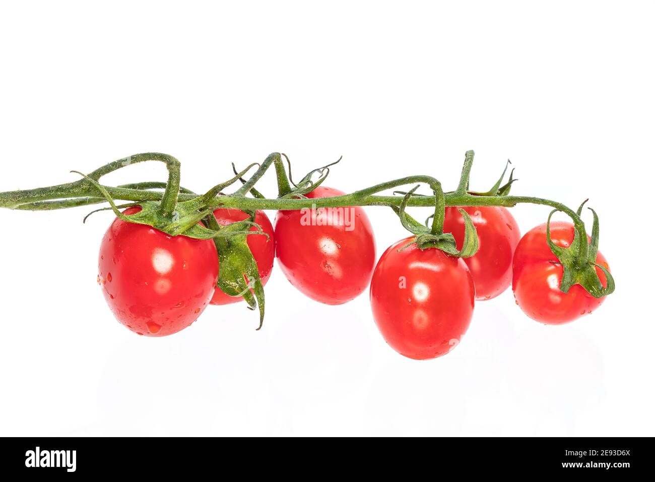 Pomodori ciliegia isolati su sfondo bianco Foto Stock