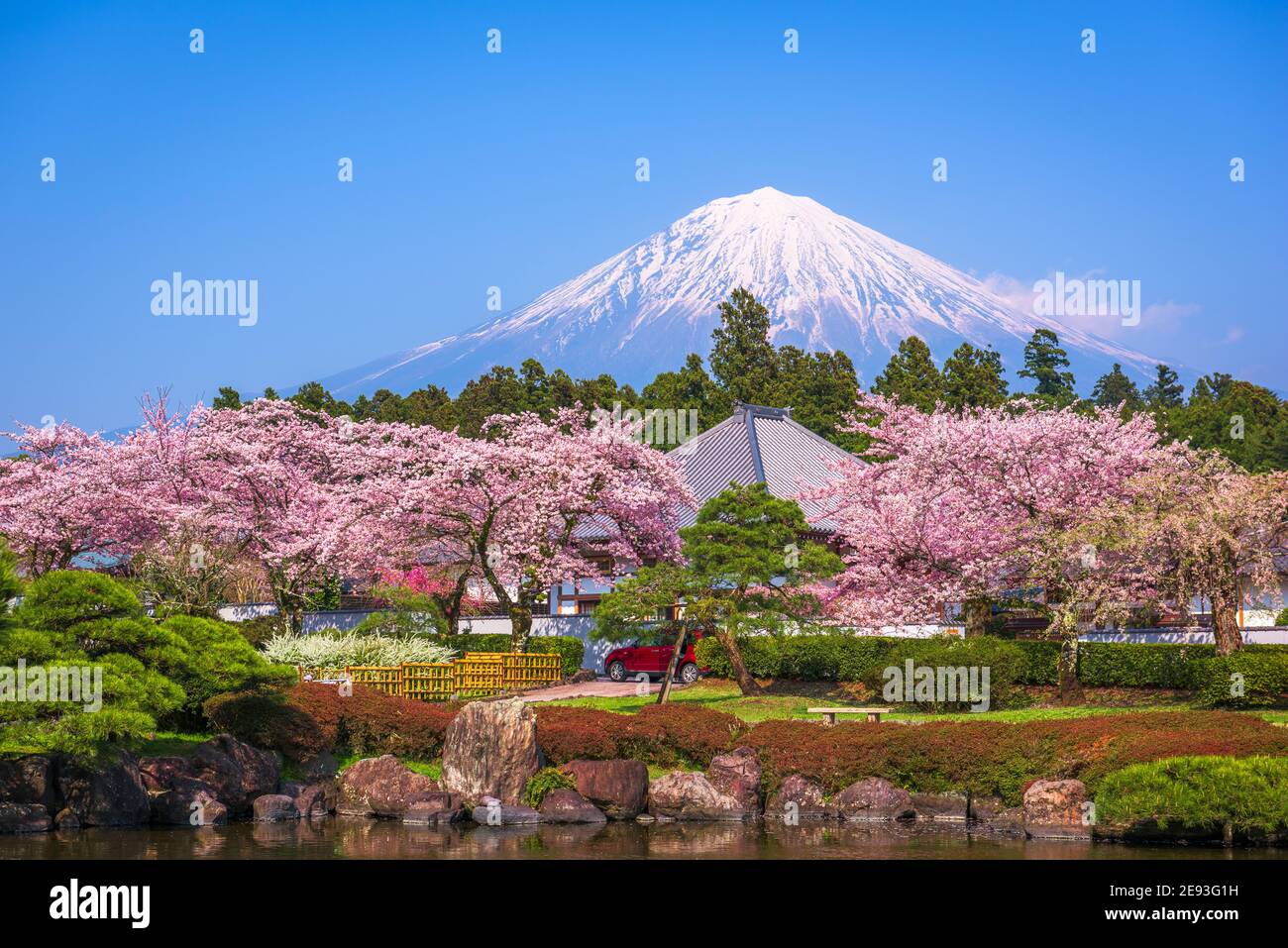 Fujinomiya, Shizuoka, Giappone con Mt. Fuji in primavera. Foto Stock