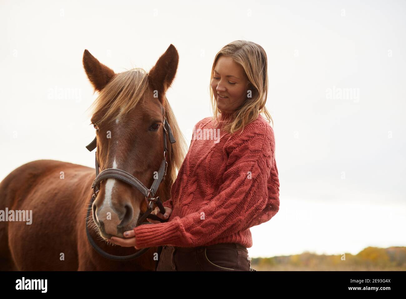 Donna che accarezzava il cavallo in fattoria Foto Stock